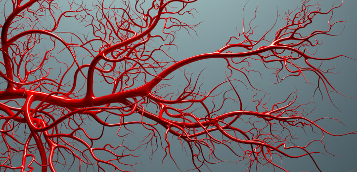 case_study_angiogenesis